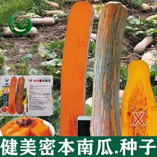 �����۱��Ϲ����Ϲ�Ʒ�N��ȫ���ϹϷN�Ӱ��������Ϲ��Ӵ����ϹϷN