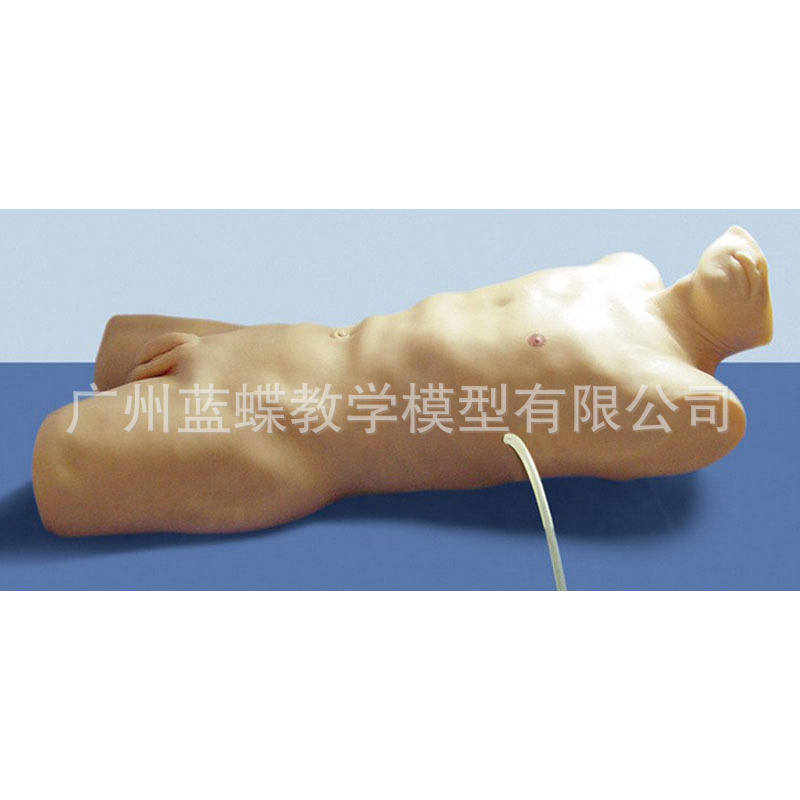 ��ǻ��ʽ������ѵ��ģ�� ҽѧ�̾� ����ģ�� ��ѧģ��