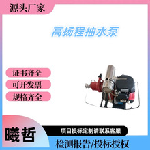 ��ѹɭ��������SF23-4��������༶���ı�԰�ֹ���ļ����ı�
