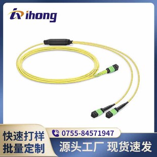 1*24 Mpo/Mtp-3*8 Mpo/Mtp-Sm Single-Mode 24-Core Pre-Order Main Dry Cable Extension Cable