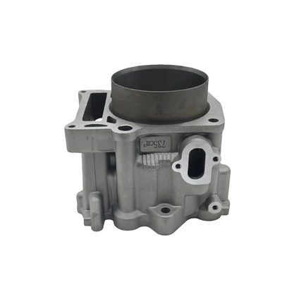 Cylinder Block Piston Parts – Cylinder and parts