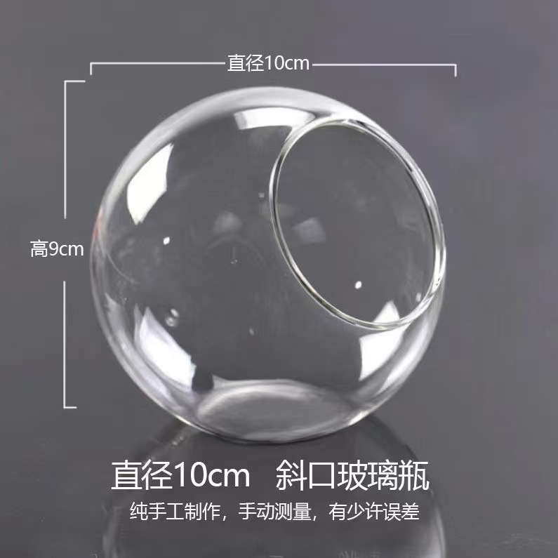 透明斜口玻璃花瓶 圆形微景观生态瓶多肉花瓶水培花器|undefined