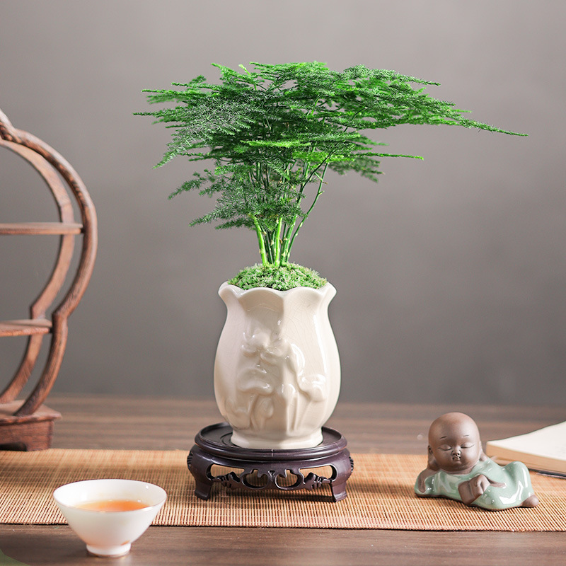 Bambou + pot de porcelaine de fleur de jade blanc + base de mousse