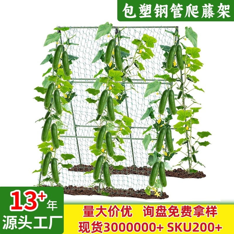植物支架种菜架子 豆角支撑杆丝瓜黄瓜爬藤杆 批发包塑钢管爬藤架