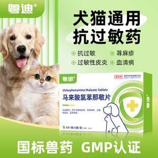 �����R�����ȱ�����Ƭ�����^���Լ���؈�乷���^����Ƥ��Ѫ�岡��