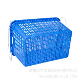塑料周转箩图片 塑料周转箩批发 水果筐 亿宝源 3号箩