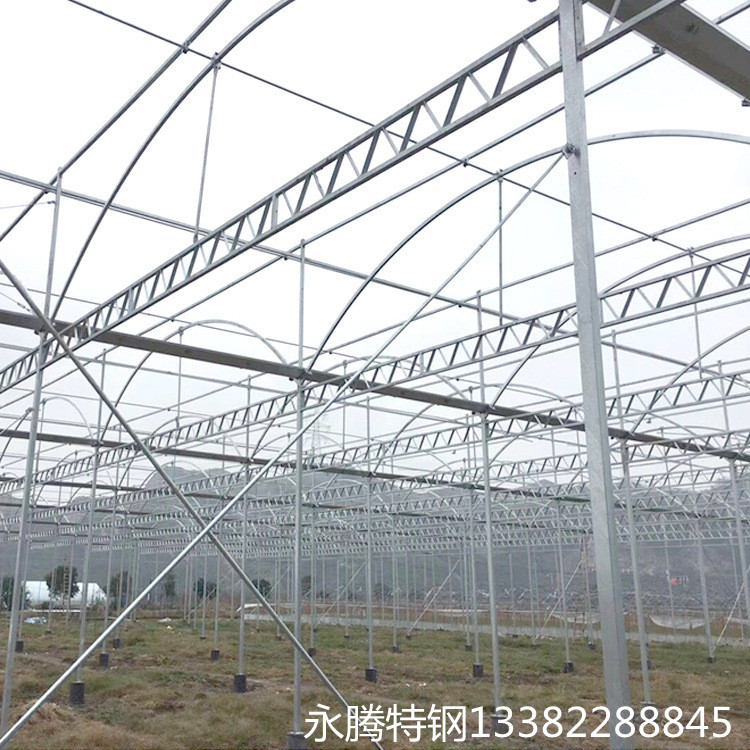 河池支持定制 葡萄大棚骨架 连栋大棚建设 温室大棚价格预算