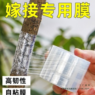 Fruit Tree Grafting Film, Wrapping Film, No-Disassembly Pe Self-Adhesive Film, Grafting Film, Tree Grafting Film, Tape Film