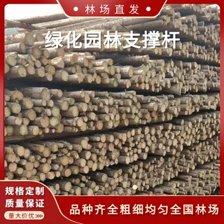 林场直发河道打桩木杉木桩松木桩防汛木桩园林支撑定制2-6米木桩