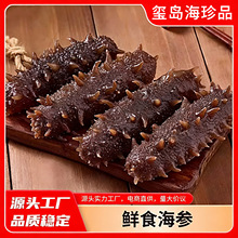 海参厂家批发大连辽刺参即食劲道口感鲜食冷冻锁鲜