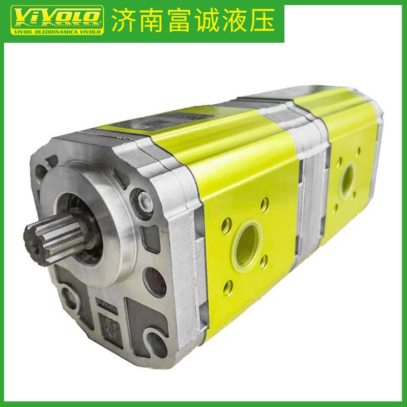 Vavor 9S221FQA5143 Европейский импортный многозубчатый насос импортный гидравлический шестеренчатый насос