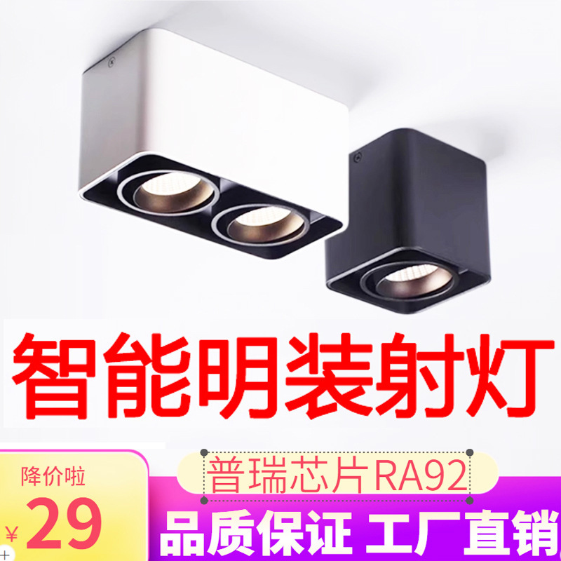 Surface-Mounted Spotlight Led Ceiling Light for Living Room, Home Use, No Main Light, Ceiling Light for Shops, Square Surface-Mounted Spotlight, Dual-Head Smart