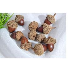 带橡果配件羊角干果钉手作很真的橡子DIY天然垒德株