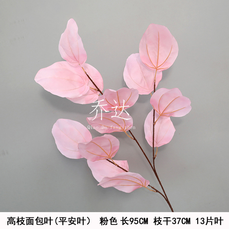 High branch bread leaf