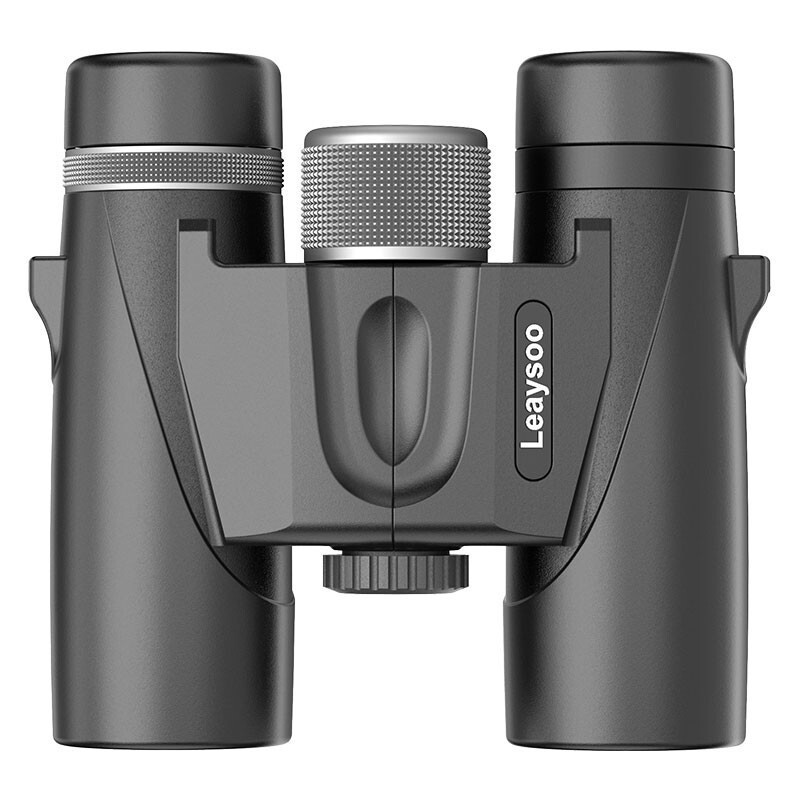 雷龙 leaysoo 猎影10X26高清高倍大目镜广角微光夜视演唱会球赛户