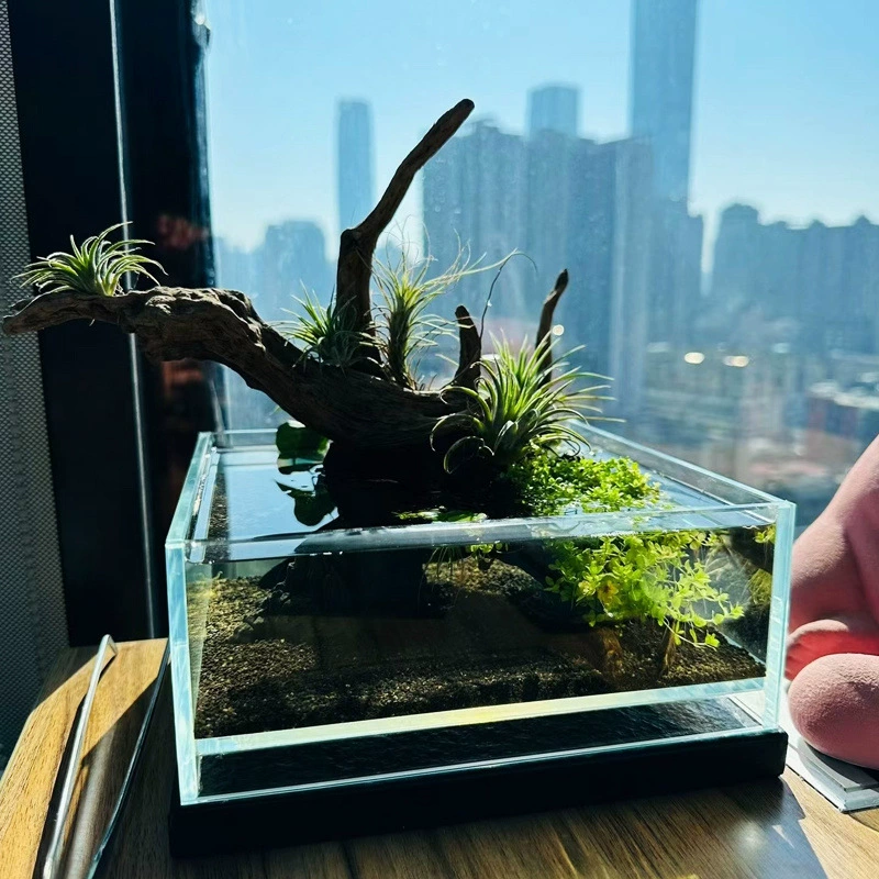 Аквариум, низкий аквариум, ручей, квадратный настольный аквариум для черепах, стеклянный аквариум для гостиной, специальный ленивый офис с искусственным ландшафтом