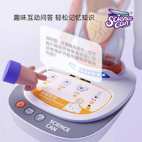 Scientific Canned Human Anatomy Model Organs Detachable Children's Teaching Toy Our Body Speech Encyclopedia