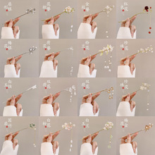 �߼����R��ȹ���u�l���ٴ���L����ʽ�l�O���K���|���X������Ů