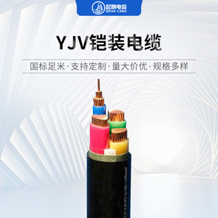����|�z�b�����|ZB-YJV22 3*4/6/10/16/25/35/50/70�z�b��|