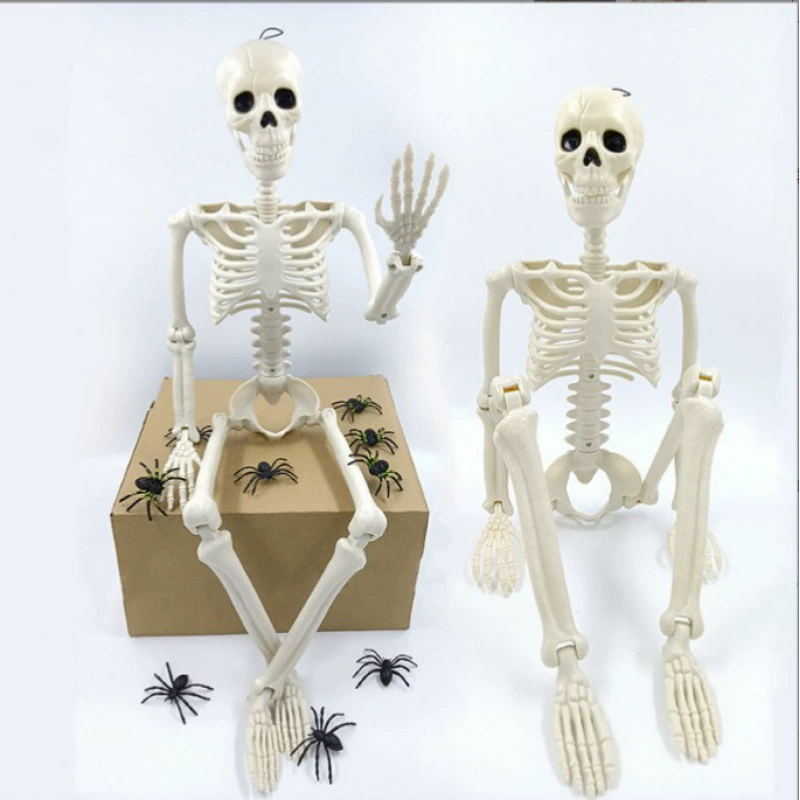 Adjustable human skeleton, (Cross-border trading), 40cm, halloween