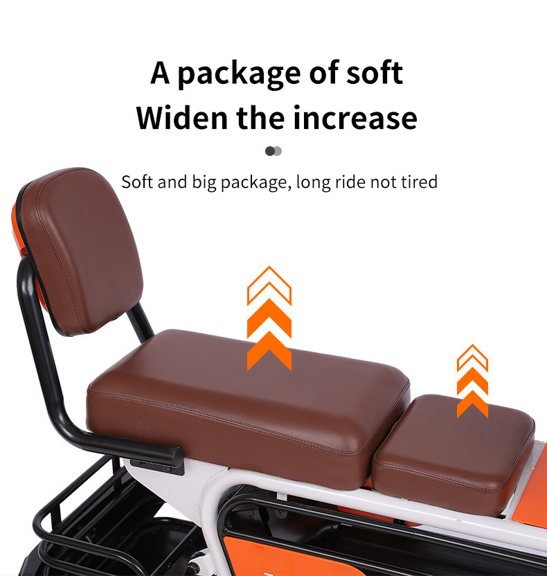 Electric Tricycle for Elderly/Pet Use