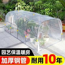 ֲﱣůͥԺų߲̊˃ů֧