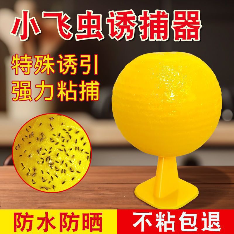 客厅诱蝇球瓜水果厨房诱捕球果树诱虫球柑橘实食蝇球瓜果园粘虫球|undefined