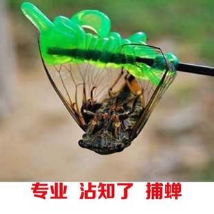 多功能烹饪厨具