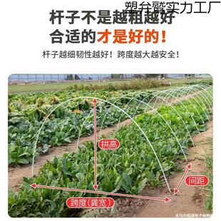 ����֧�ܲ����w�S�����w�S�U������x�����߲˹��ӷNֲ