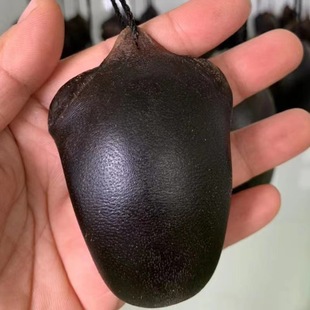 �|���خa¹β��