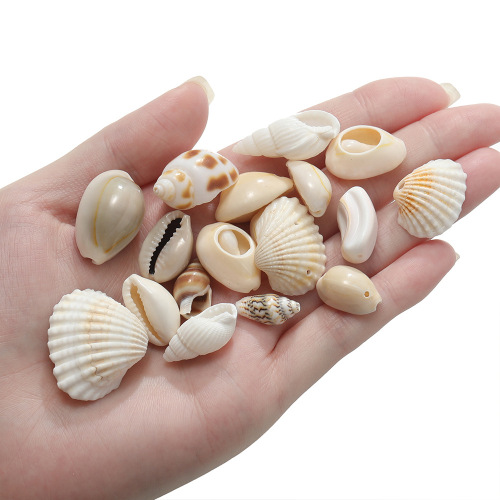 Single Hole Natural Shell Snail Pendant, Drilled Shell Snail Beads DIY Handmade Earrings Necklace Hat Accessory