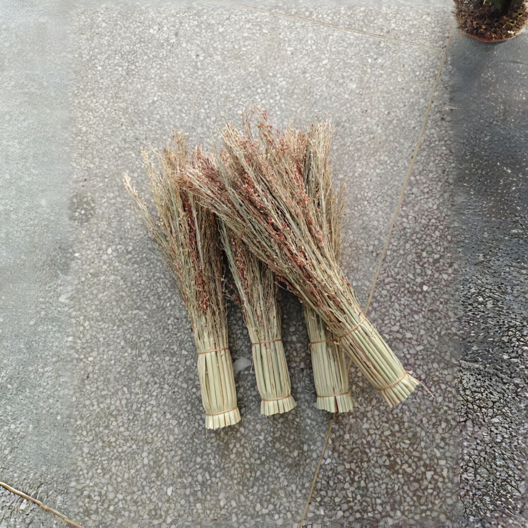 Los fabricantes de origen tienen una gran cantidad de plántulas de sorgo blanco del noreste, cepillos de arroz, cepillos de limpieza doméstica, ollas de sorgo diarias