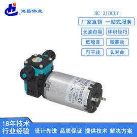 有刷高压泵 高压喷雾泵 超静音雾化泵 液压力0.6MPa正压泵