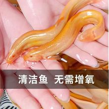 һ�����l���q�絭ˮ�^�p�~���S�����q�~���坍�~�����~����B����