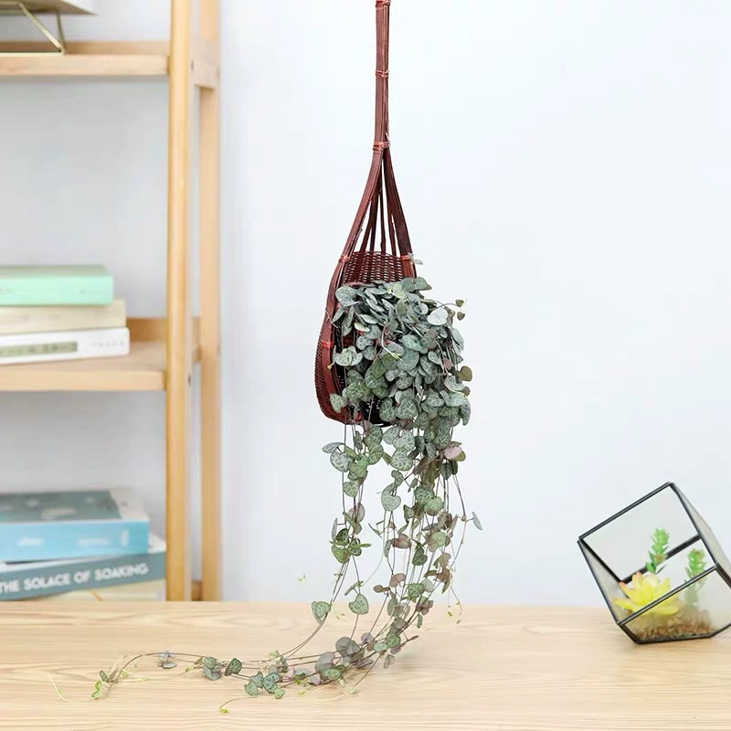 Подвесное растение с 1.0inch сердечками, гирлянда из сердечек, любовная лоза, четырехсезонная зеленая подвесная плетеная корзина для суккулентов.