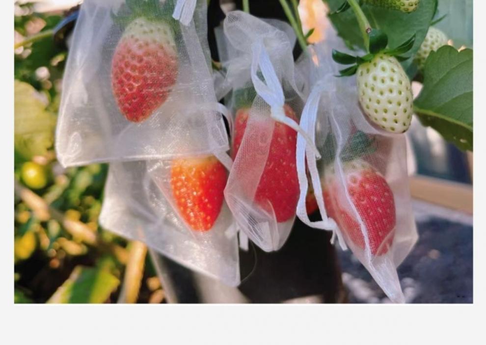 12d5592b-0fbe-43b2-a117-f914d6beacda.jpe