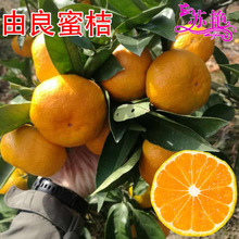 �������۽��� �����۽ۘ��� �����۽۟o���۽۸��������Ә�����]