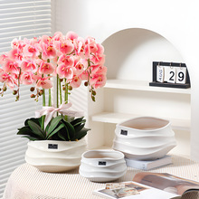 ���⌒�ڏ���ɫ������ֵ�����辰���մɻ�����ô�̖�����m����