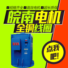 皖南电机马达YL立式高压电动机三相异步30kw37kw45kw55kw75kw