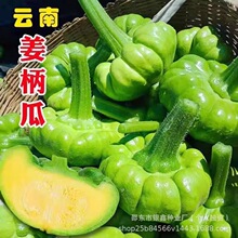 ��Ͻ����ϷN�����~���ϹϷN����С�ϹϷN�G�˹�ԭ�b�߲˷N�Ӵ�ȫ