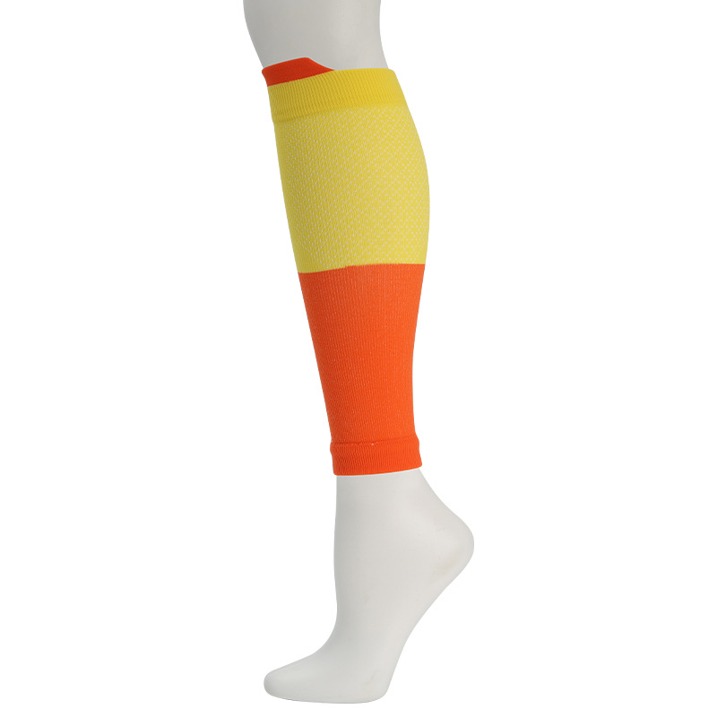 240 주황색 + 중간 노란색