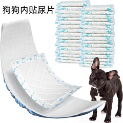 犬のおむつは丁寧におしっこをしています。