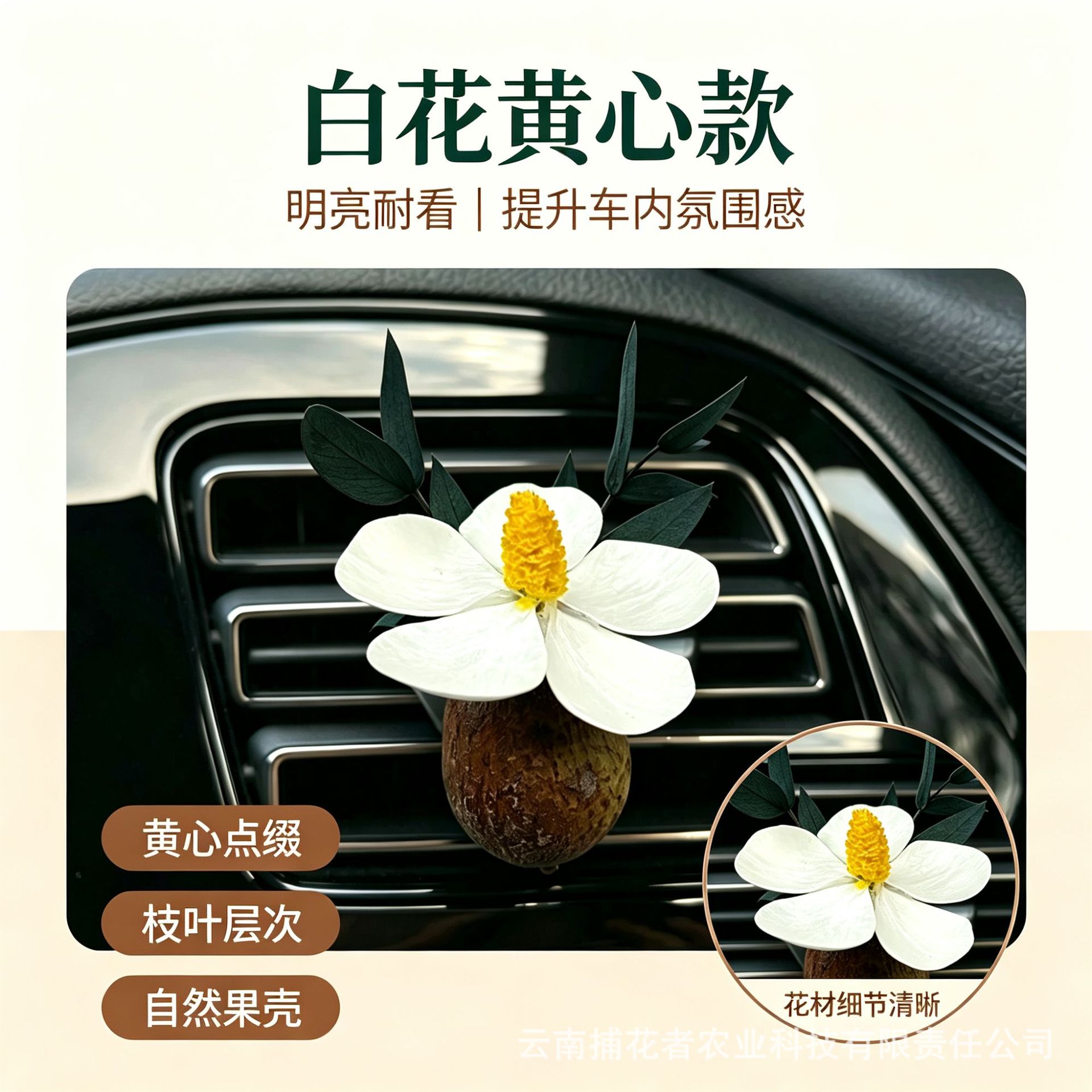 Natural Fruit Plant Dried Flower Car Air Freshener Vent Decoration High-End Diffuser Car Gift Car Interior Fragrance