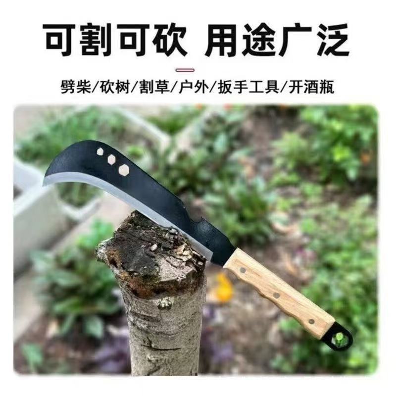 微信图片_202507281054142.jpg