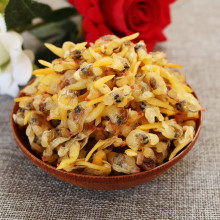 ⺣r؛r⻨ݺݸS͘oɳϴʳ