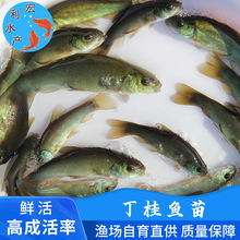 ��2021���硿ˮ�a�Bֳ�W�޶����~�� �����~�� ���i�~�� ���q�~��