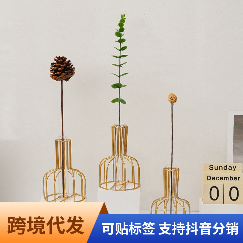 Ins Style Scandinavian Transparent Glass Vase Ornaments Home Creative Simple Living Room Dried Flower Flower Arrangement Decoration Wholesale