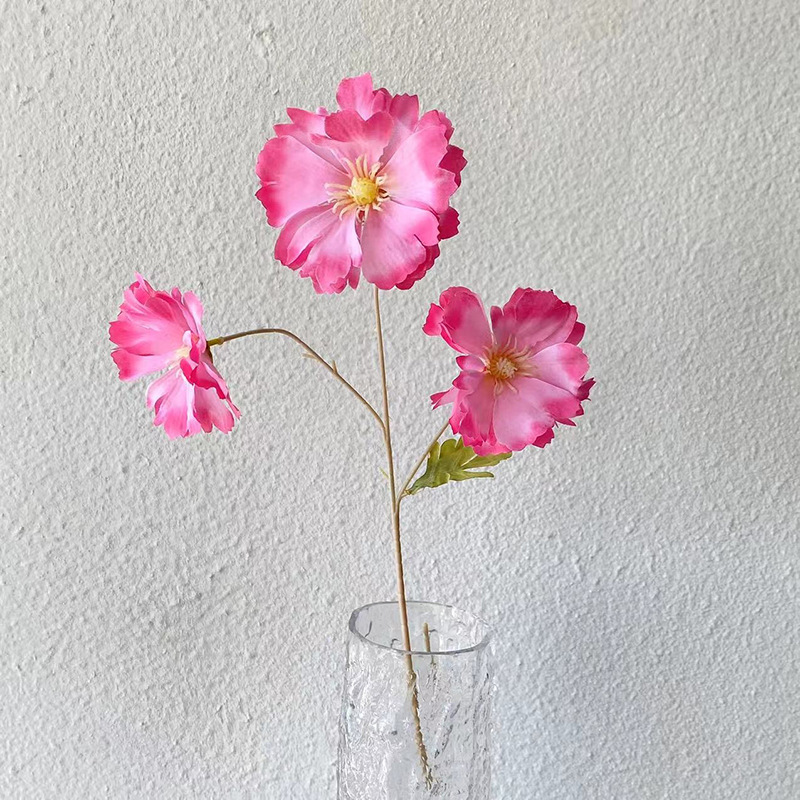 3등 난초-로즈 레드