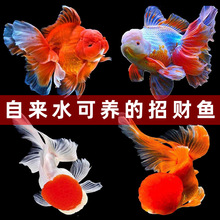 ���~���~��ˮ�~���^�p�~�{���^���~����ԁ�ˮ���B�ͻ��~�ݽ�С�~