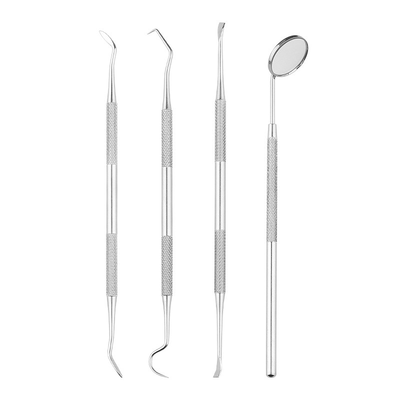 Stainless steel dental cleaning tools set